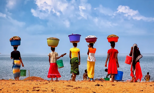 DRCongo: A History of Pain and Possibility